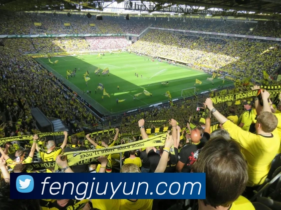 milan米兰官网平台生态图